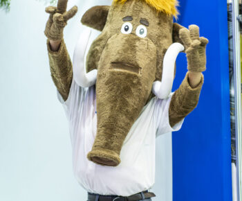 CONSTRULEV25 -041125-16h12_-MIK01820